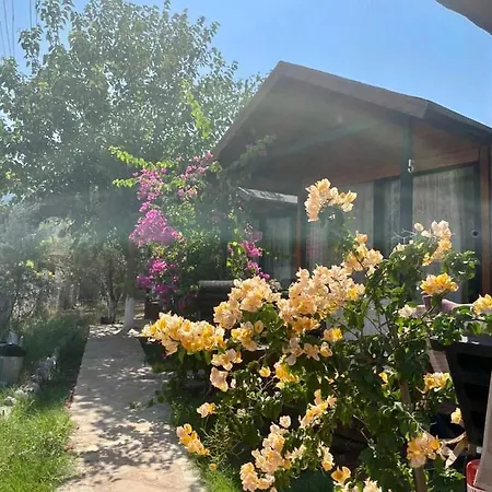 Marimare Beach & Bungalow Hotel