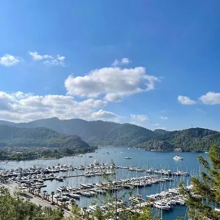 Marimare & ホテル