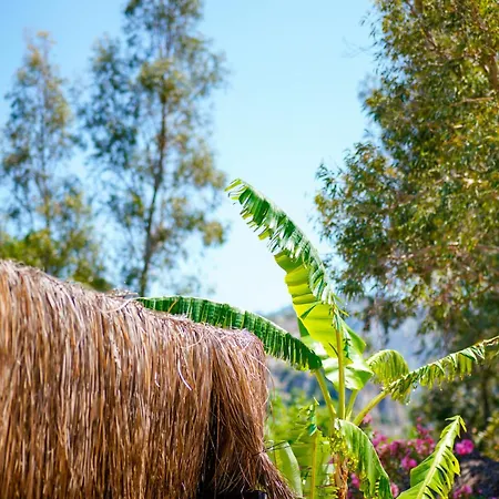 Marimare & ホテル *